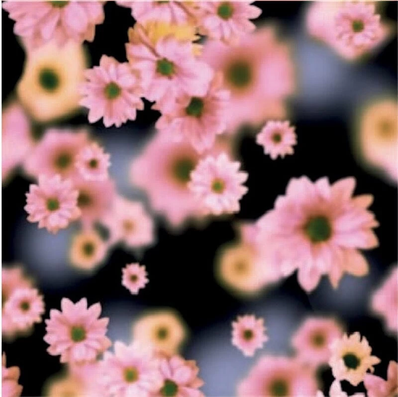 Eastpak Rugzak 15" Pinzip Soft Navy 7 Eastpak Rugzak 15" Pinzip Soft Navy - Afbeelding 5